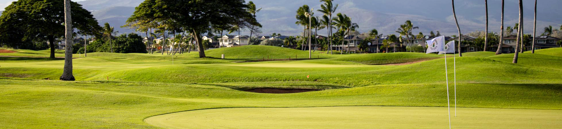 view of golf course from green